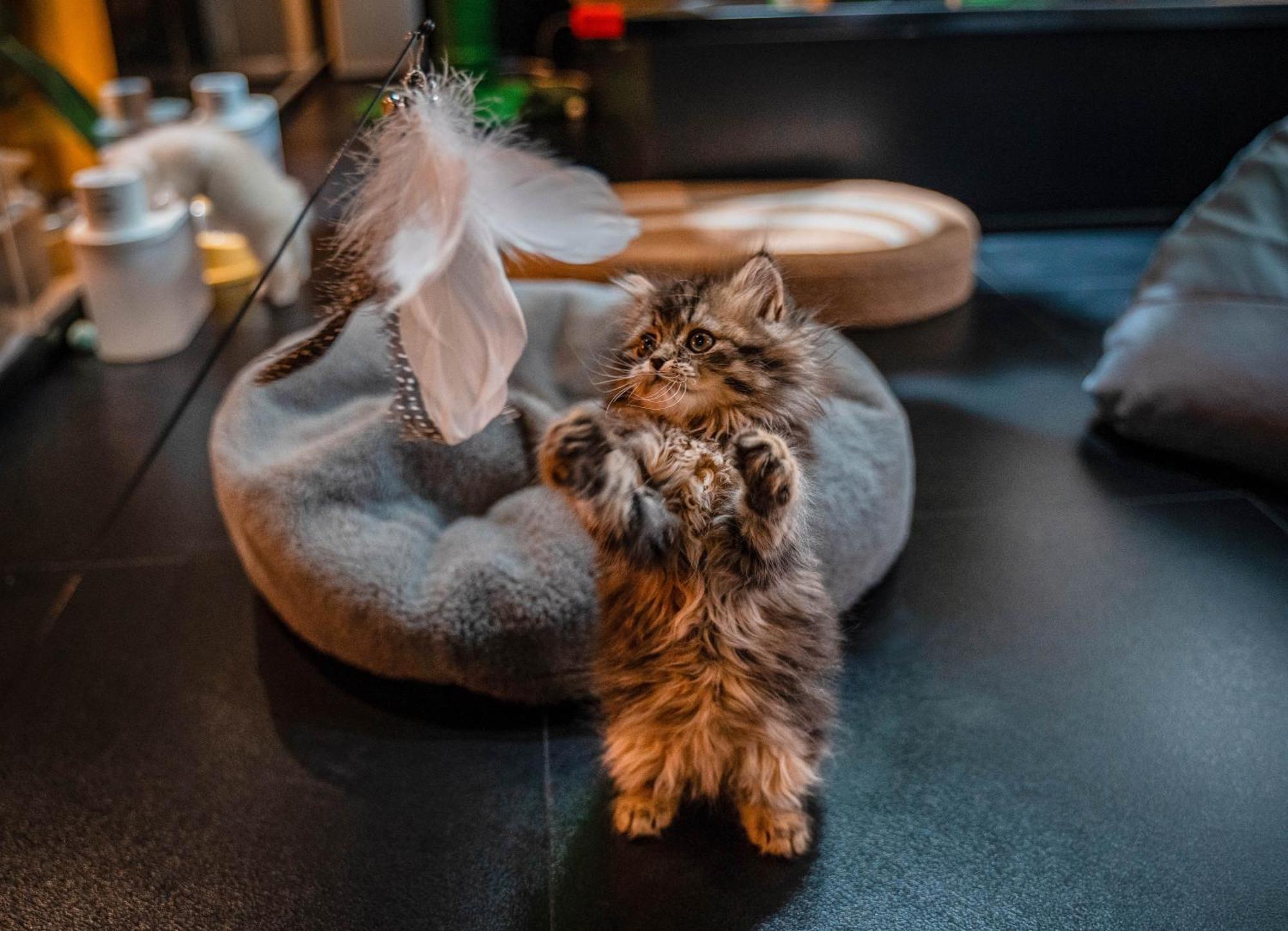 Hesu Designer Hotel & Suites -Near Xi'An Drum Tower And Yongning Gate -Free Laundry Luggage Storage -Kitty Cafe With Freshly Ground Coffee -24H Front Desk -English Service المظهر الخارجي الصورة