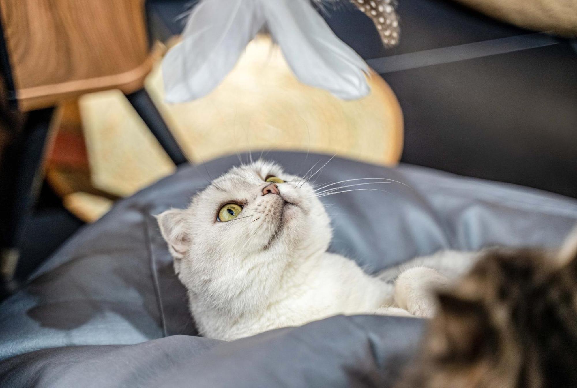 Hesu Designer Hotel & Suites -Near Xi'An Drum Tower And Yongning Gate -Free Laundry Luggage Storage -Kitty Cafe With Freshly Ground Coffee -24H Front Desk -English Service المظهر الخارجي الصورة